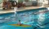 060129_104-piscine.jpg