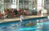 060129_105-piscine.jpg