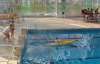 060129_122-piscine.jpg