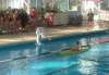 060129_125-piscine.jpg